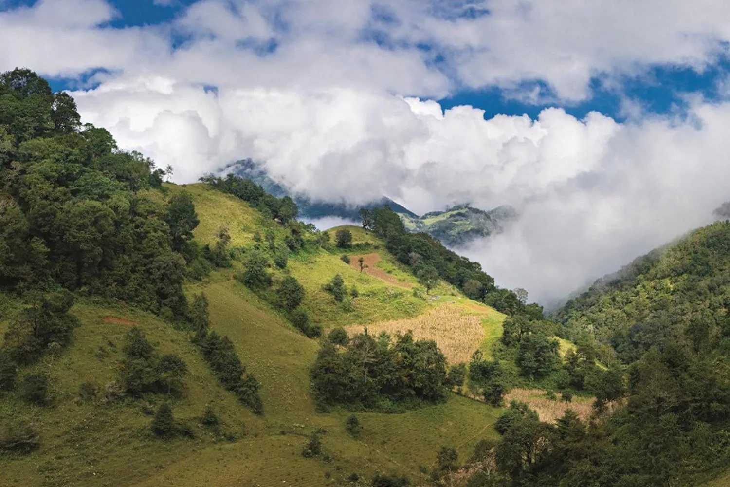 Nota sobre Ecoturismo en la Sierra Gorda de Querétaro