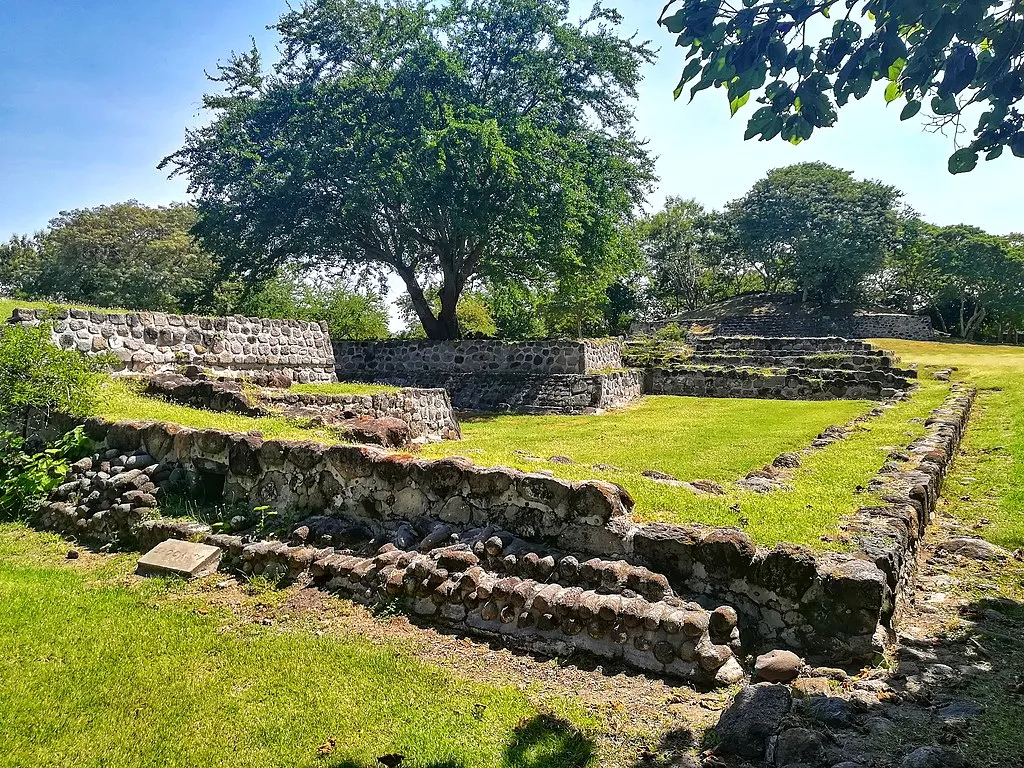 Nota sobre El lobo mexicano, un símbolo importante en México