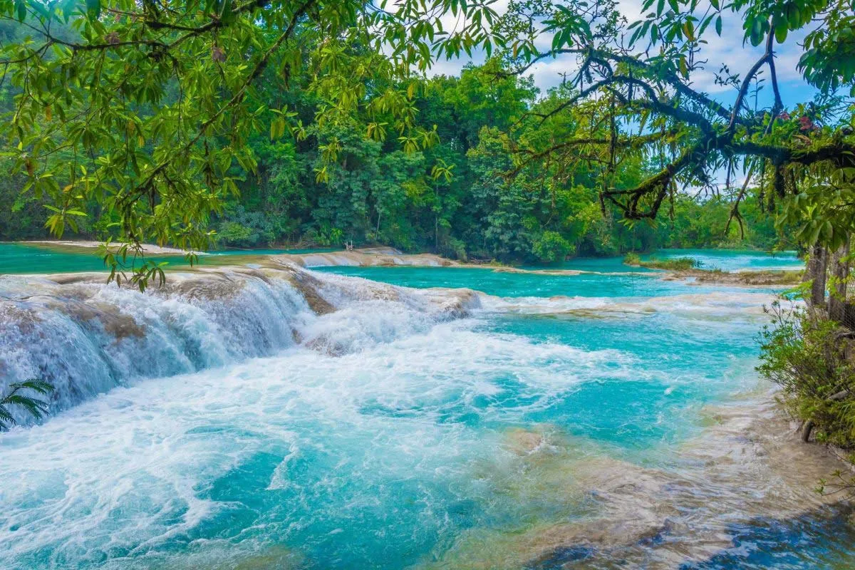 Nota sobre Vive y disfruta en pareja de la ecología en Chiapas