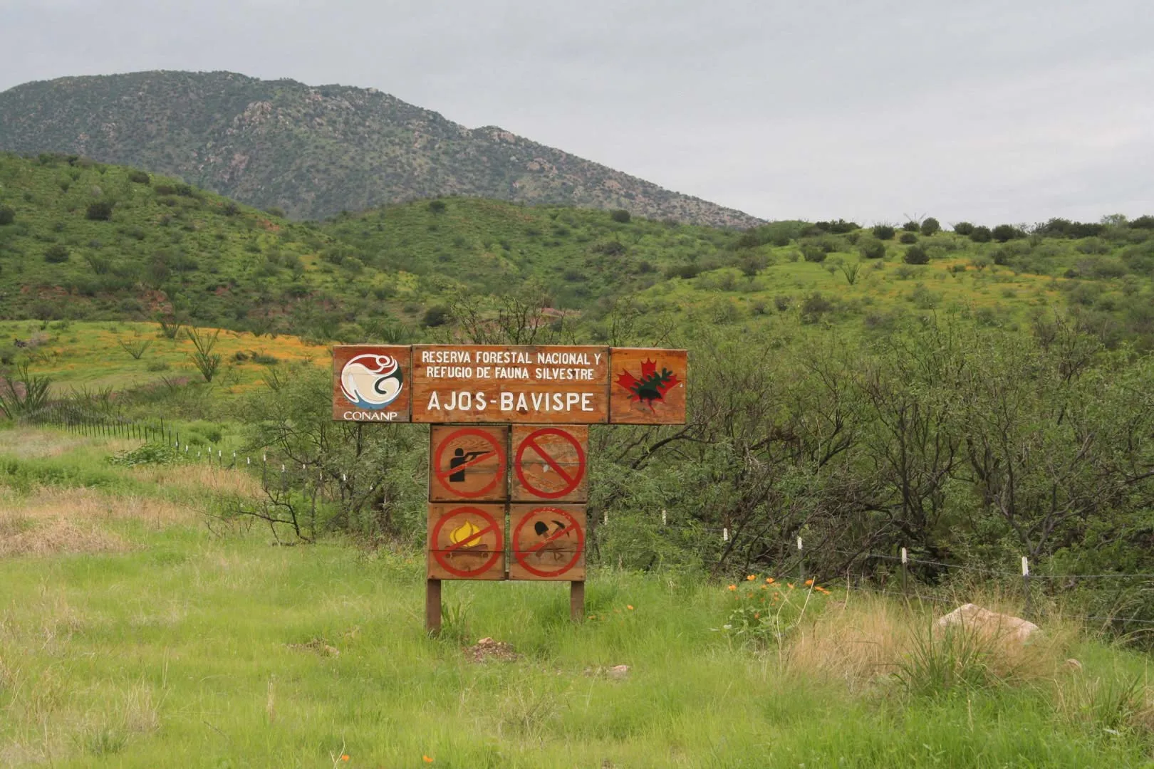 Nota sobre Sierra de Ajos-Bavispe en Sonora