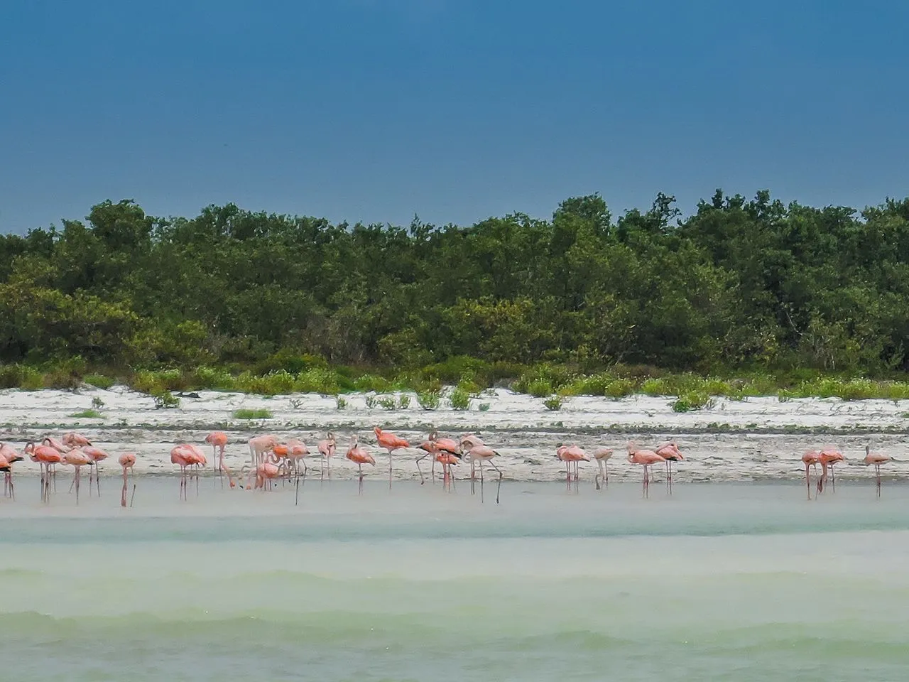 Nota sobre Ecoturismo en la Reserva de la Biosfera Yum Balam