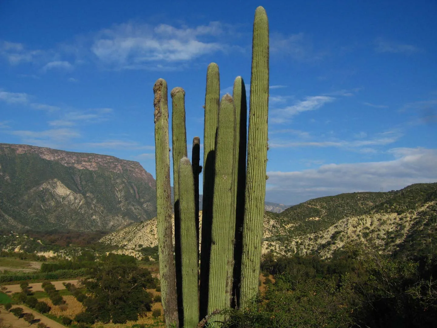 Nota sobre Descubre la Barranca de Metztitlán, Hidalgo