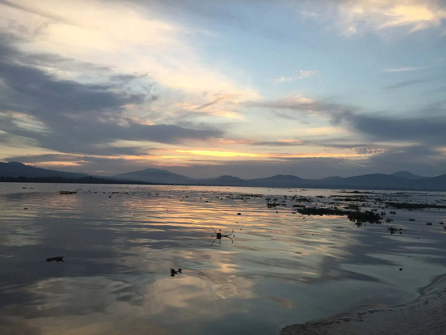 Nota sobre Disfruta de las maravillas de la naturaleza en Santa María Tecomavaca