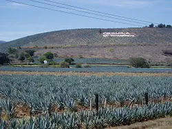 Nota sobre La arqueología mexicana en Google Maps