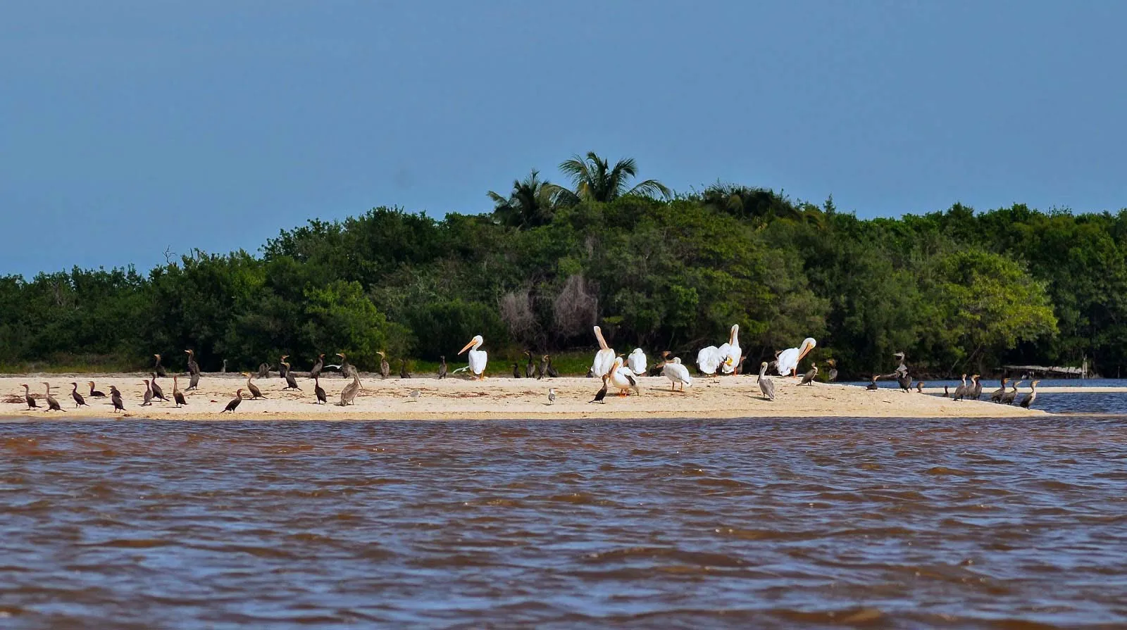 Nota sobre Planea tus próximas vacaciones a Matehuala, San Luis Potosí