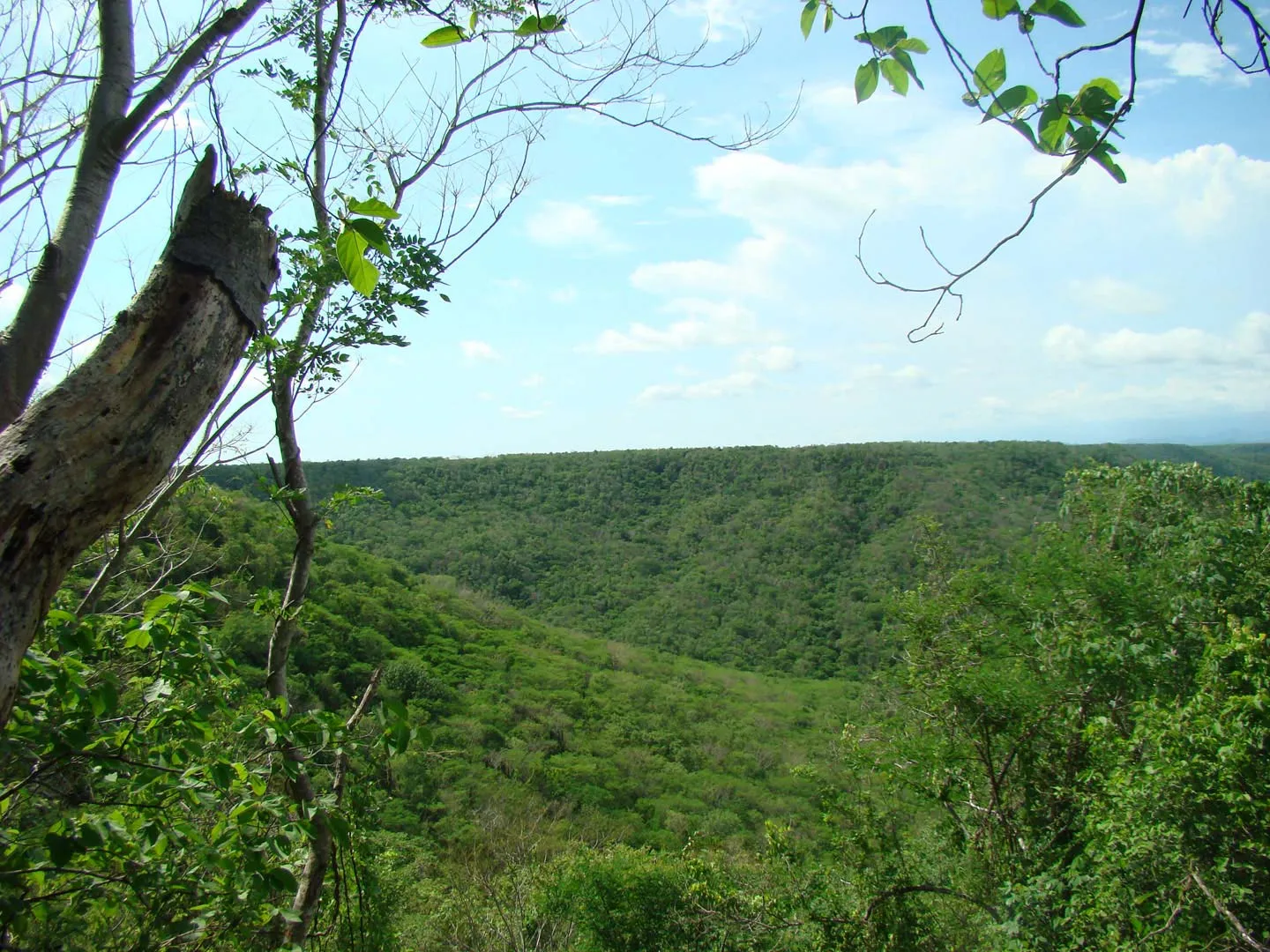 Nota sobre La meseta de Cacaxtla, naturaleza en su esplendor en Sinaloa