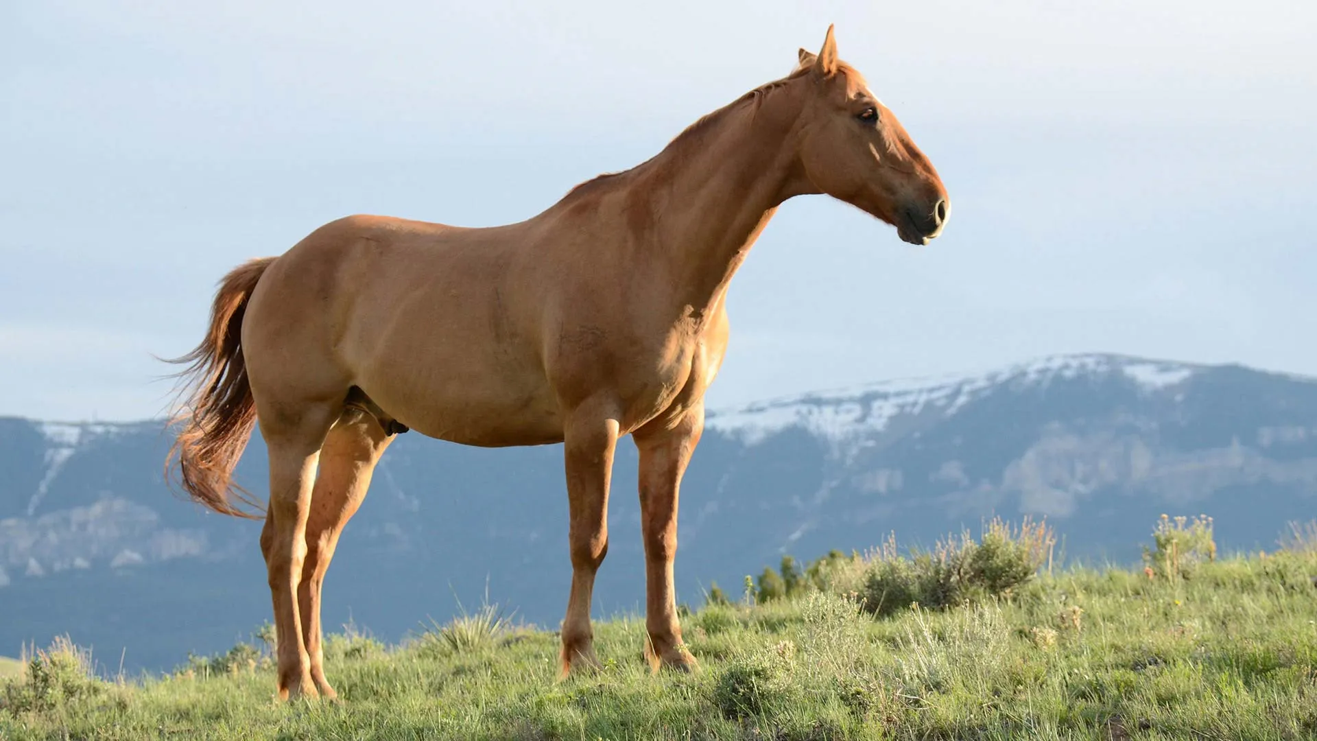 Nota sobre Estos son los mejores sitios para cabalgar en el Estado de México