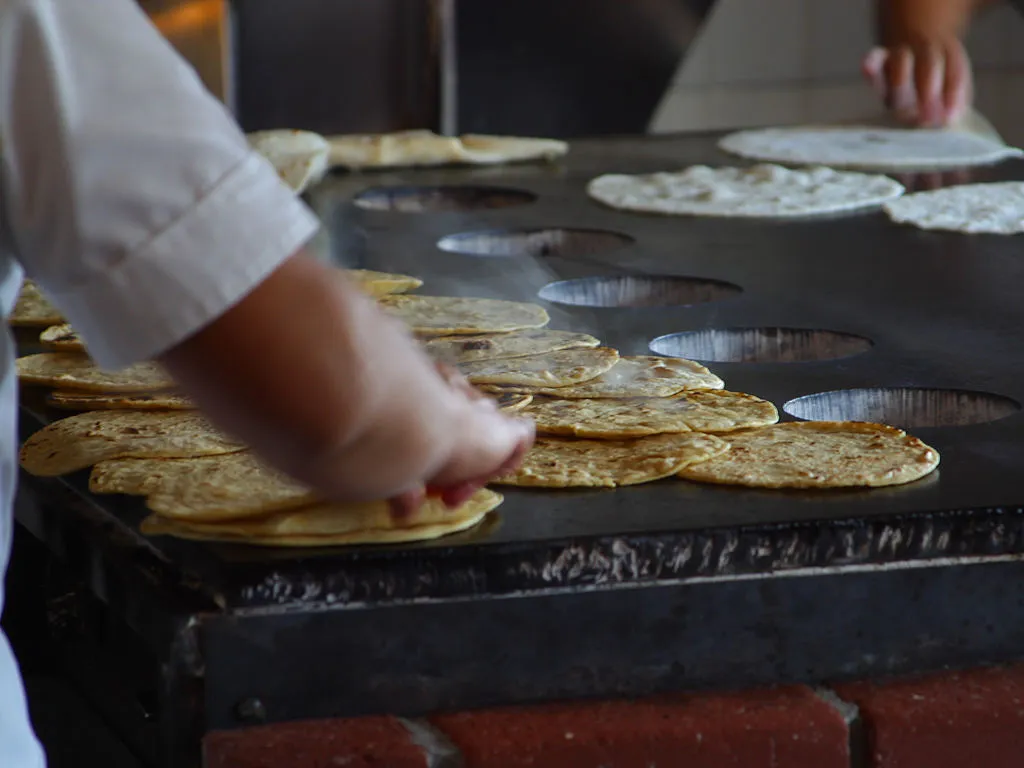 Nota sobre Disfrutando la gastronomía en Isla Mujeres