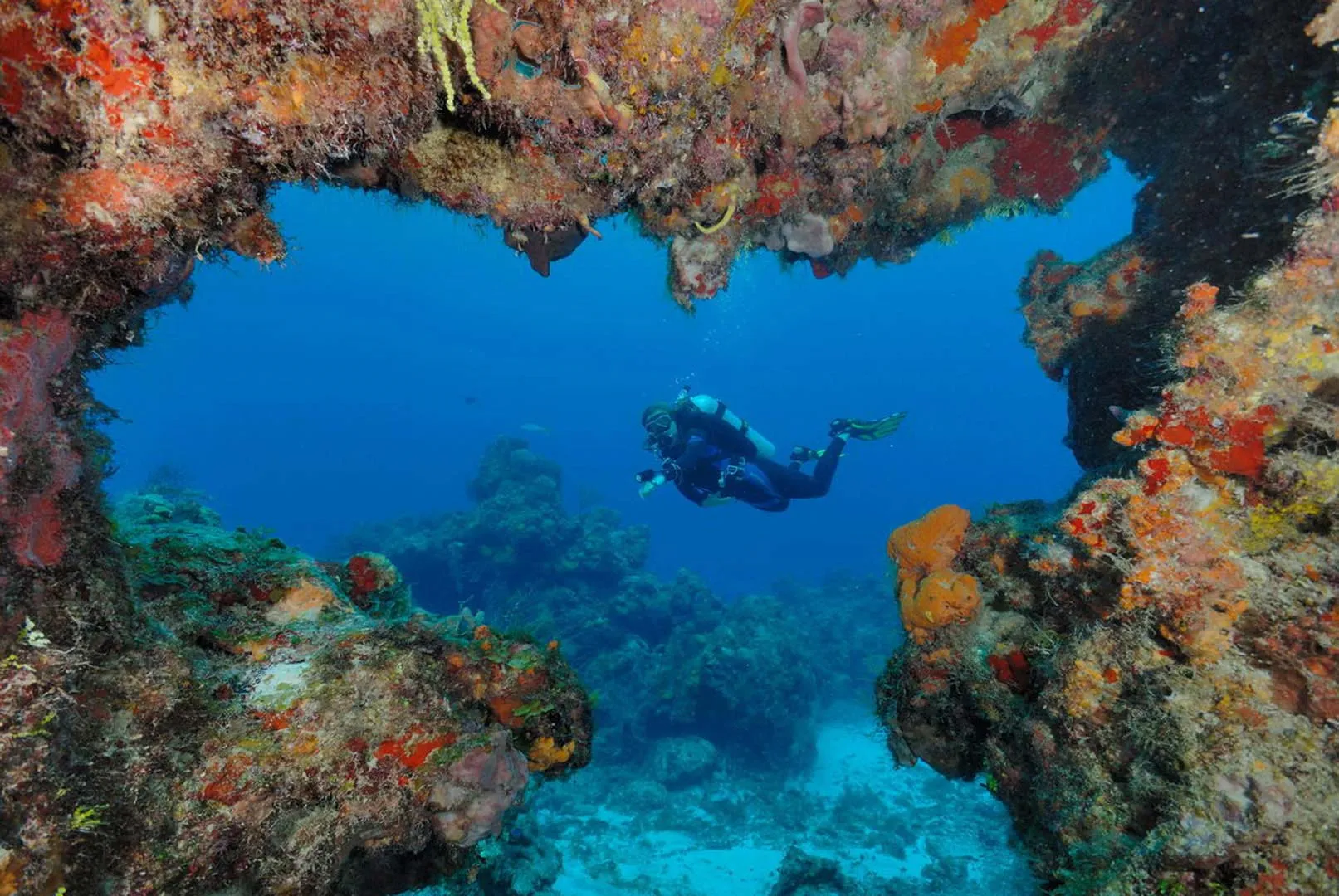 Nota sobre Buceo en los cenotes más bellos México