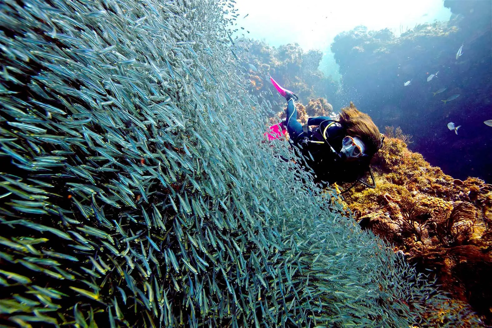 Nota sobre Buceo en la Riviera Maya