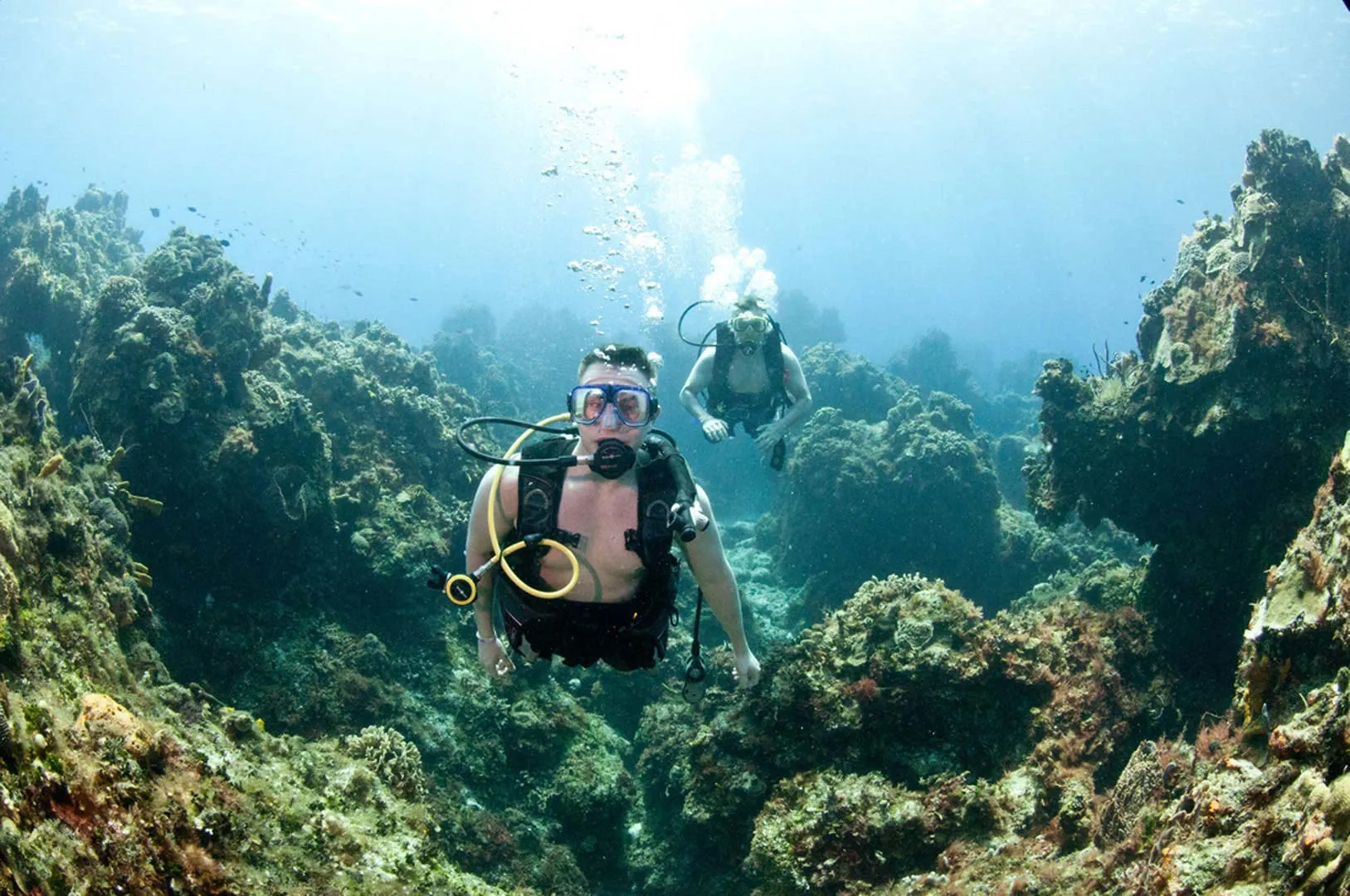 Nota sobre Buceo en la Riviera Maya