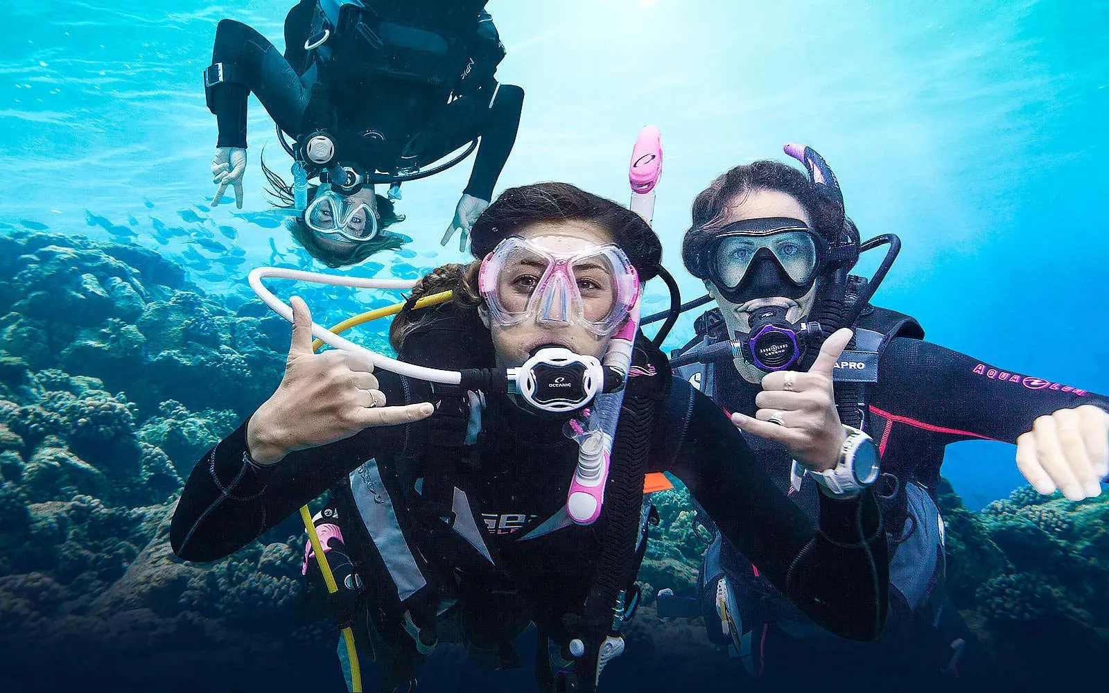 Nota sobre Buceo en Mazatlán, una experiencia inolvidable