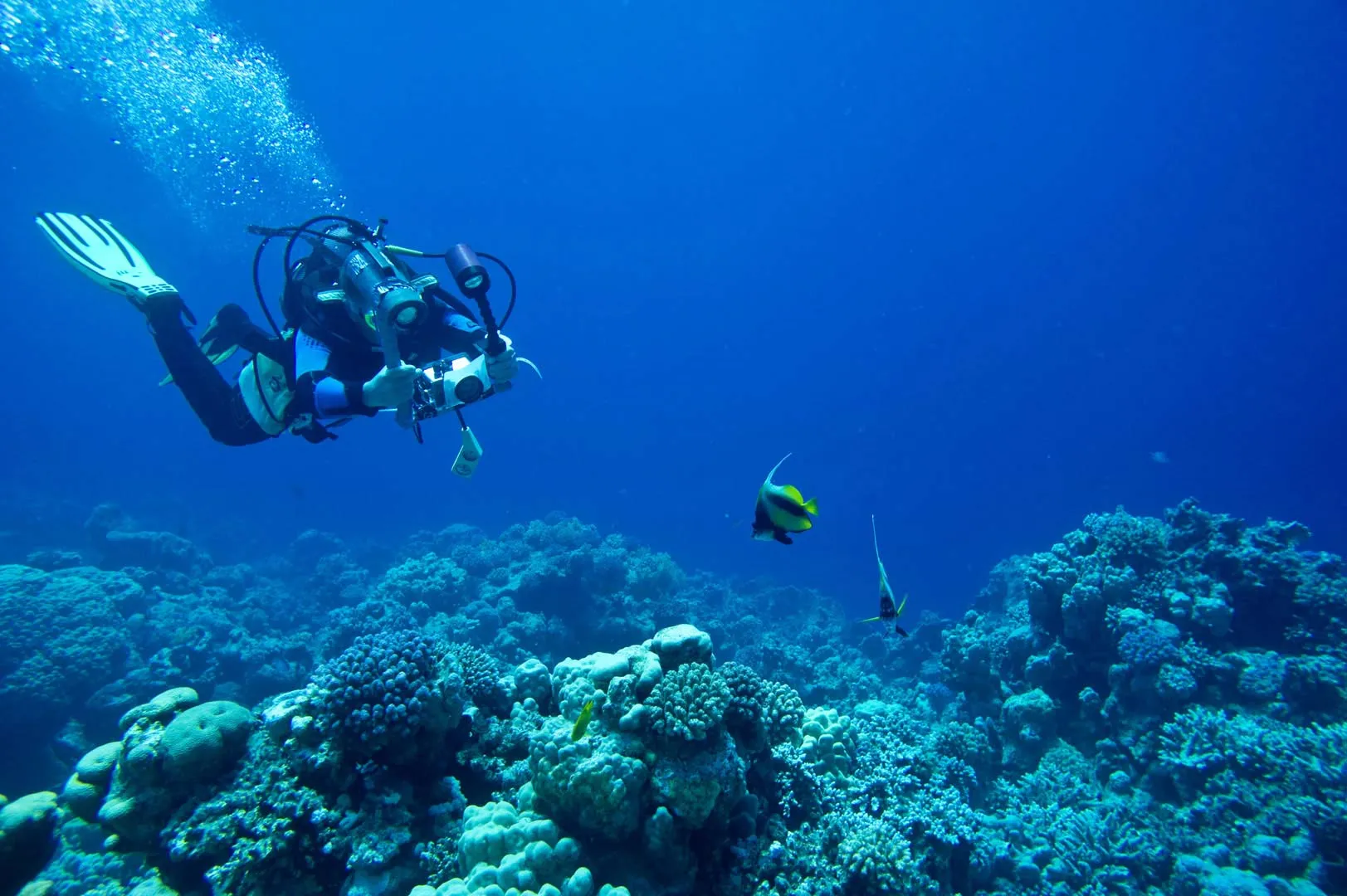 Nota sobre Buceo en Mazatlán, una experiencia inolvidable