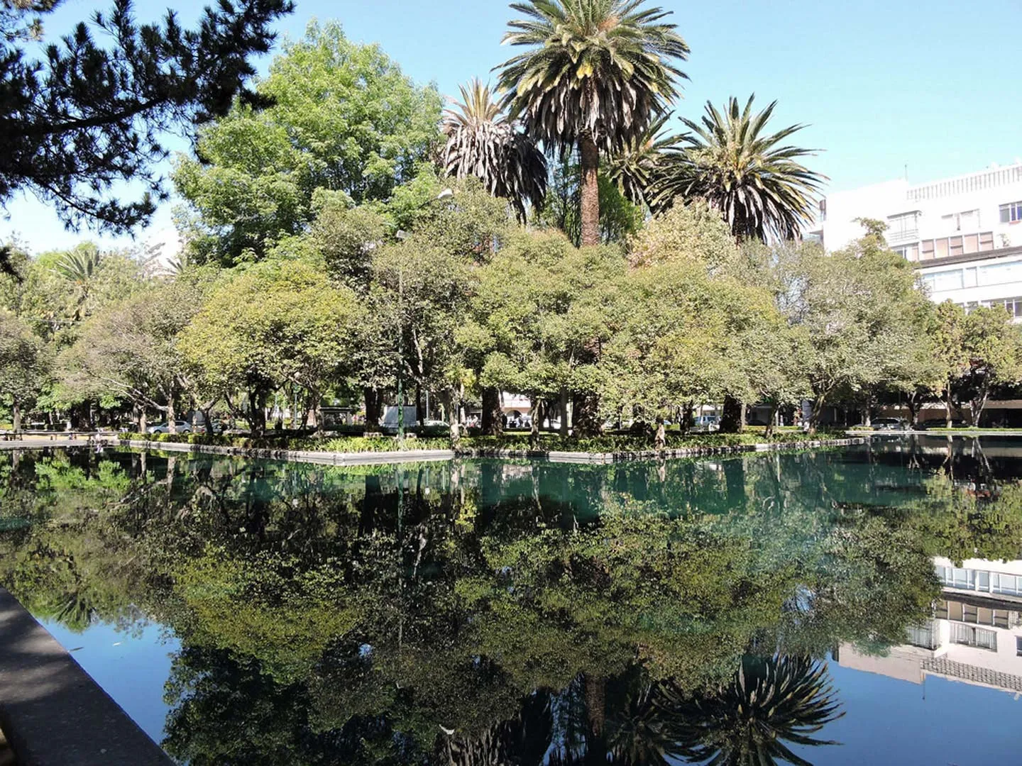 Nota sobre Diversión en el Parque Lincoln de Polanco en la CDMX