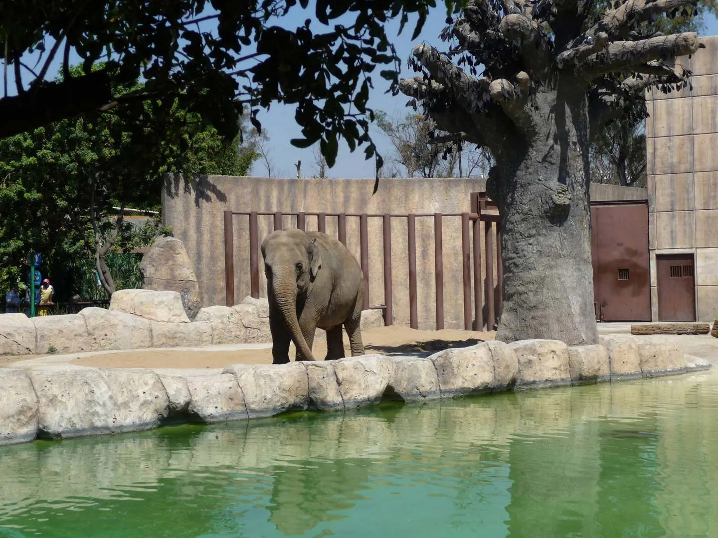 Nota sobre Visita el zoológico de San Juan de Aragón en un fin de semana