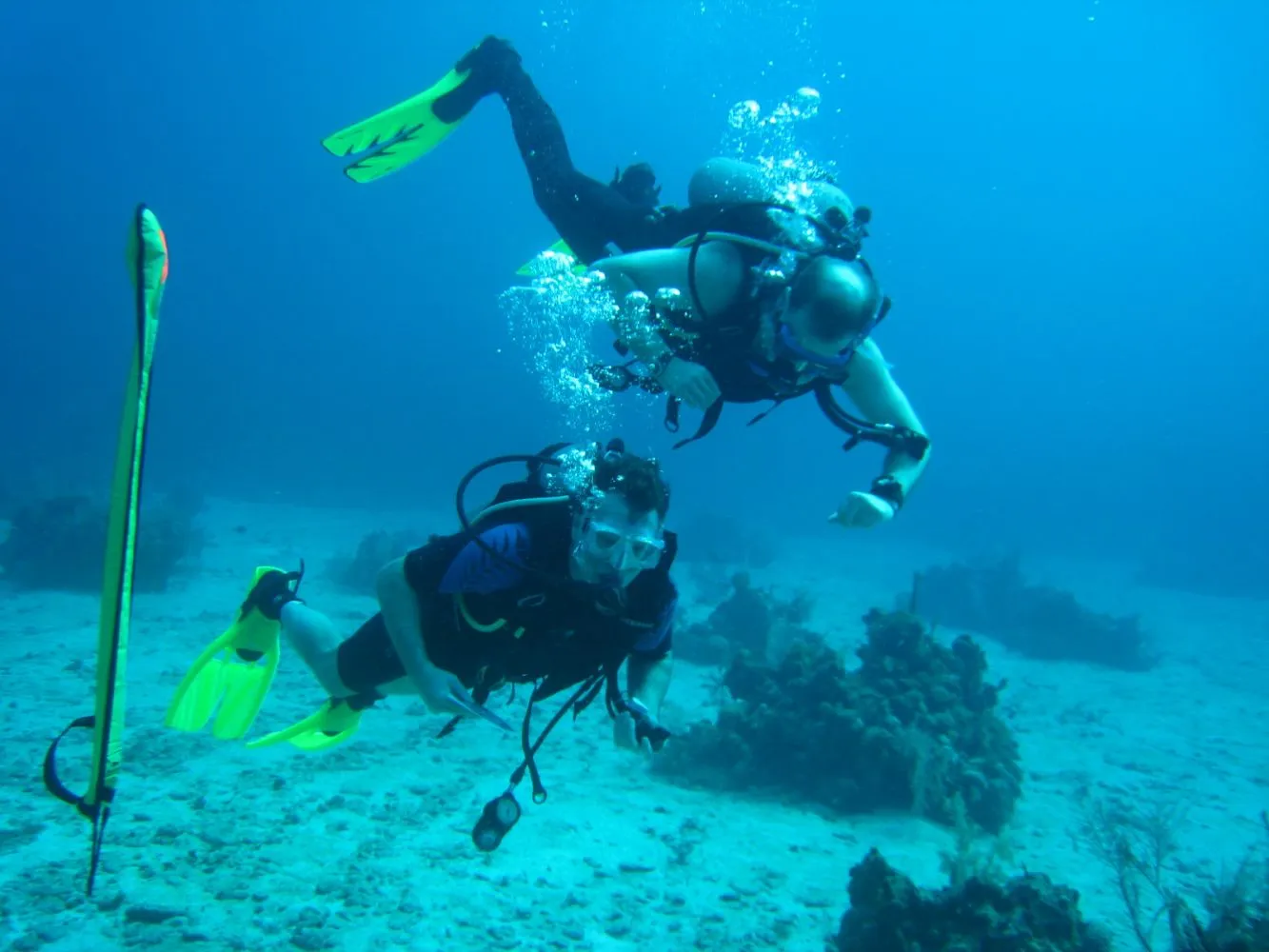 Nota sobre Buceo en Cancún, una experiencia inolvidable