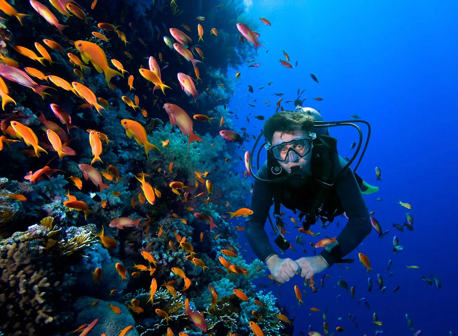 Nota sobre Buceo en Cancún, una experiencia inolvidable