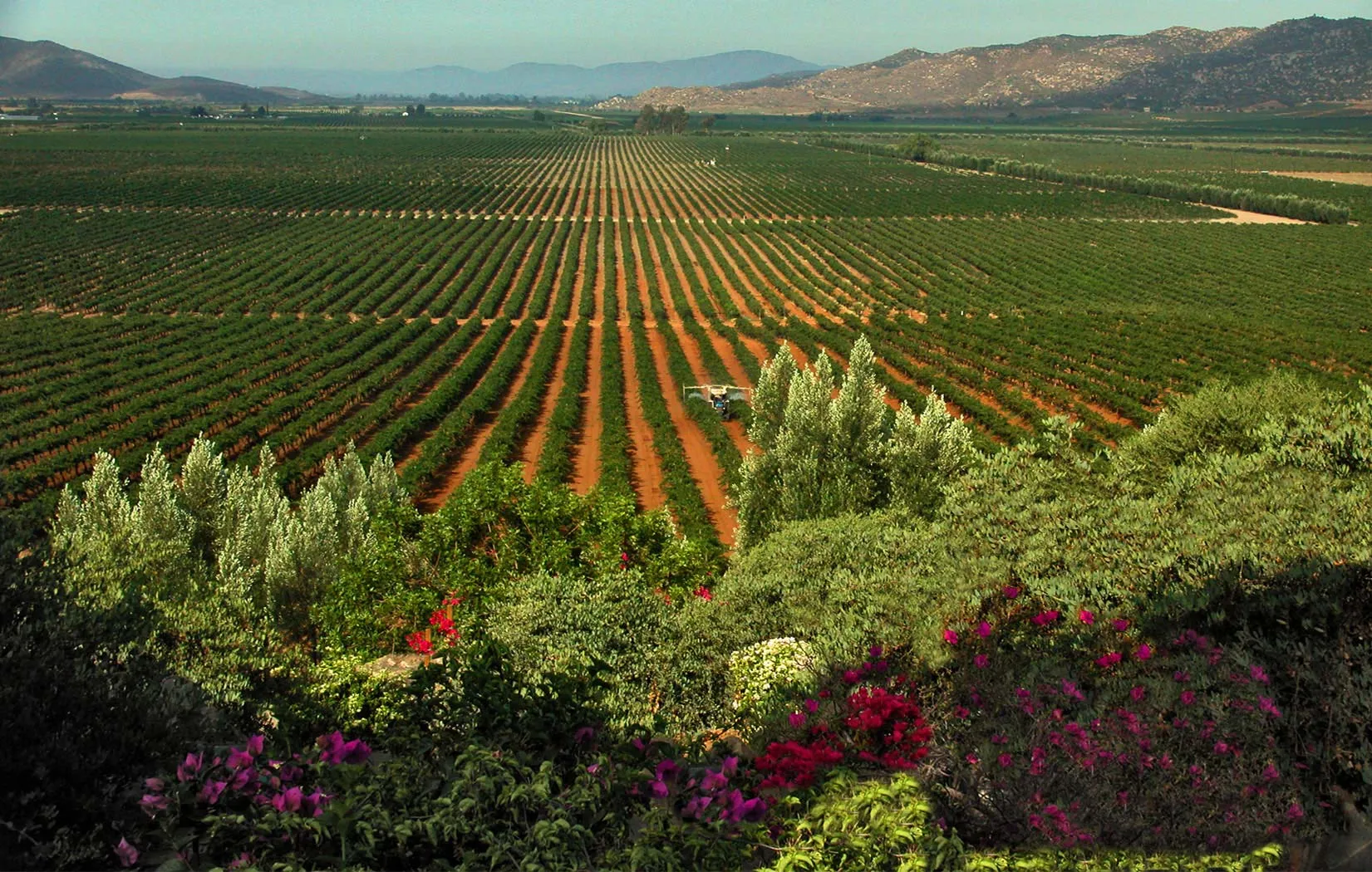 Nota sobre De visita en la Hacienda Matel en Jalisco