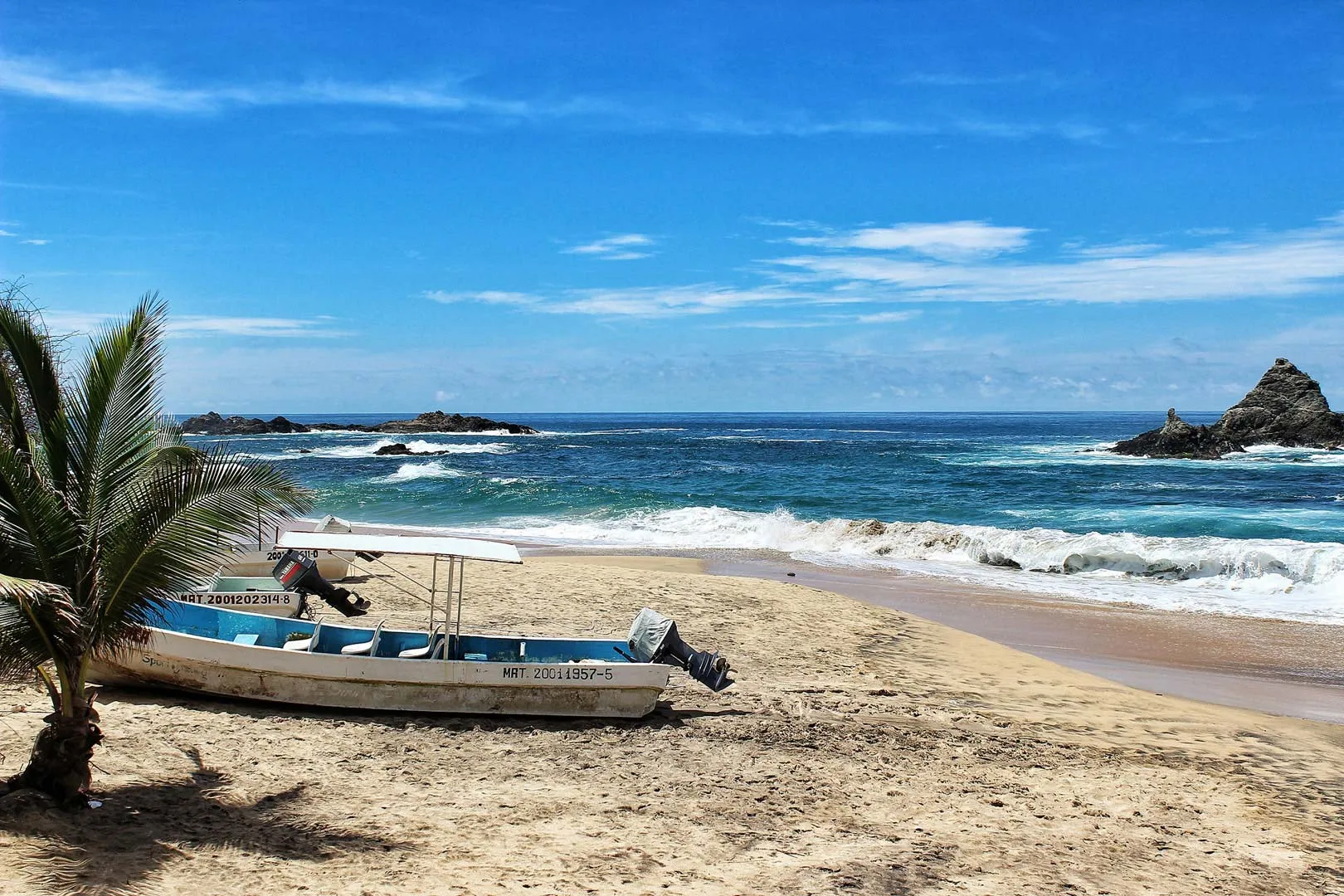 Nota sobre Travesía por las islas del Mar de Cortés