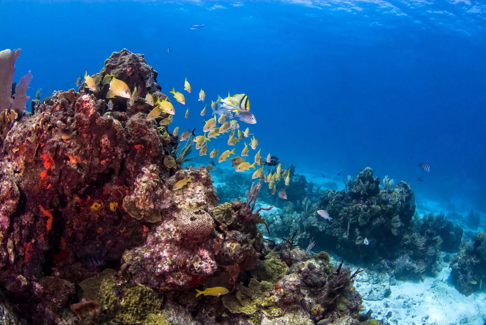 Nota sobre Lugares divertidos y paradisiacos en Cancún