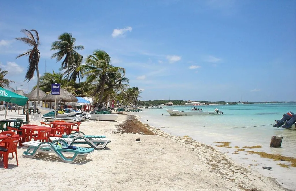 Nota sobre Desarrolla actividades y deportes en Mahahual