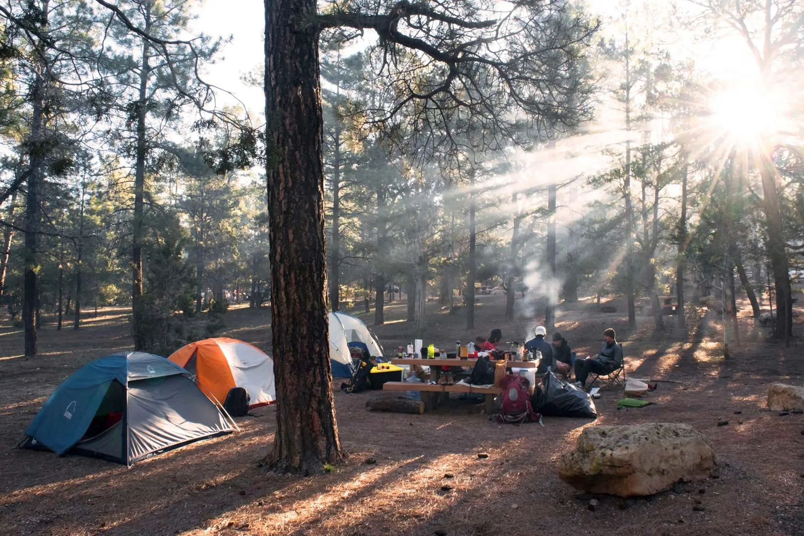 Nota sobre Disfruta de diversos campamentos en México