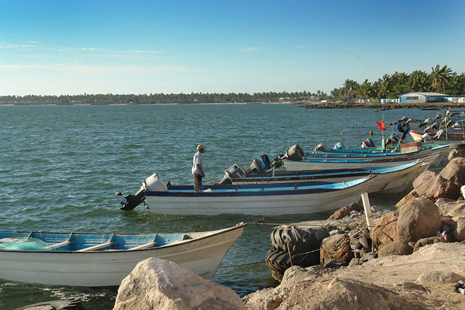 Nota sobre Paseando por el paradisiaco Teacapán en Sinaloa