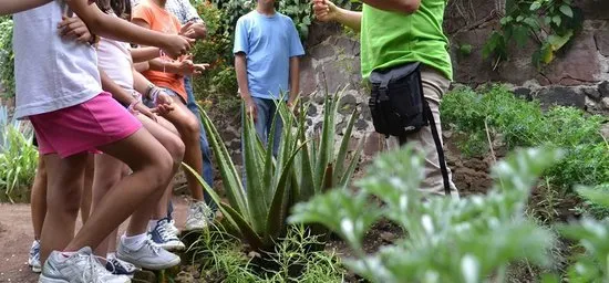 Nota sobre Vive la aventura en la Cascada de Cacalotenango, en Guerrero