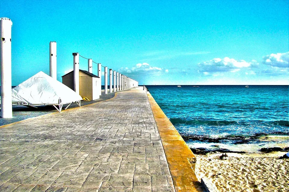 Nota sobre Disfruta de la vida nocturna en Playa del Carmen