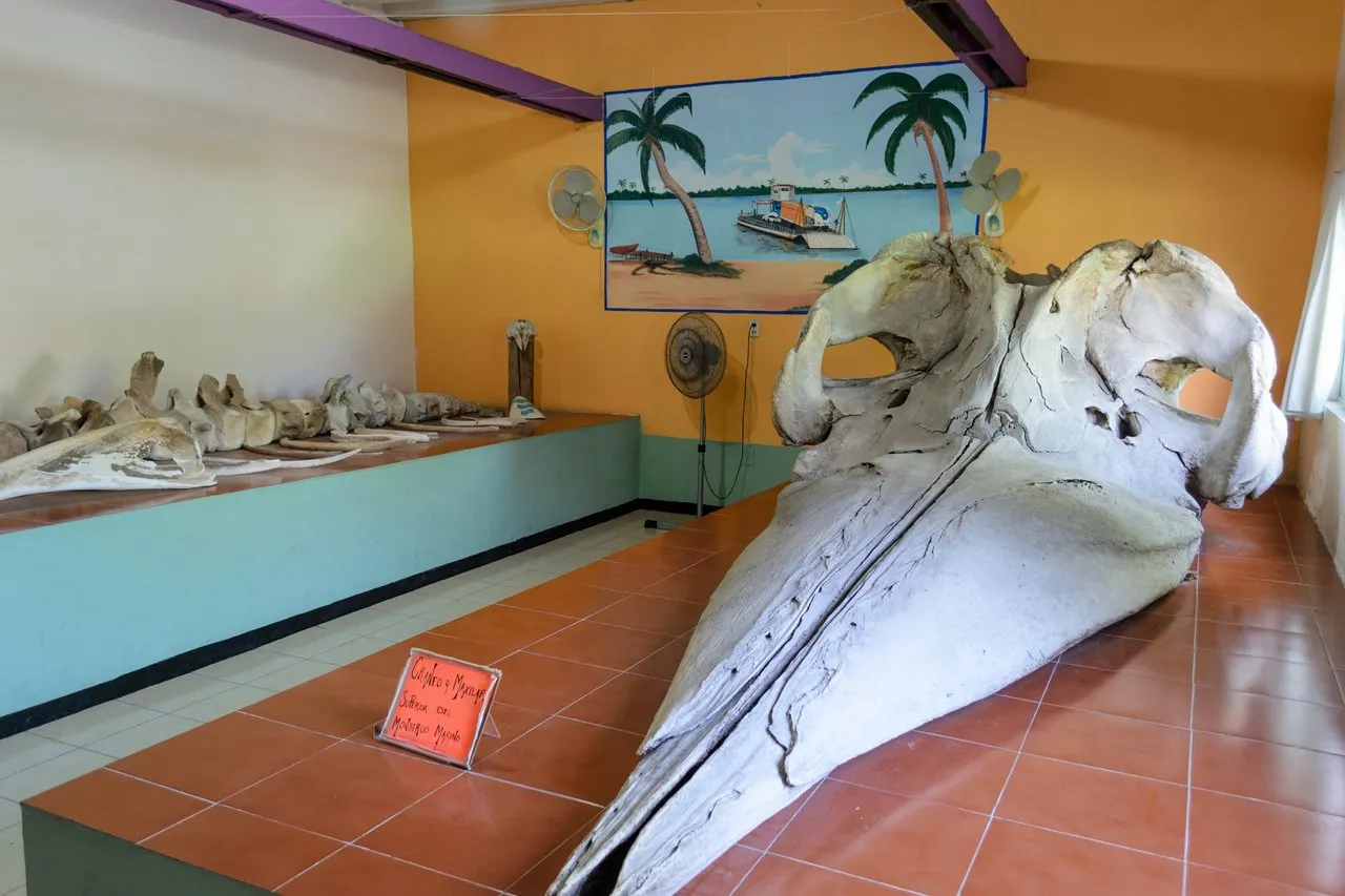 Nota sobre Visita el interesante Museo Marino Comunitario de Tecolutla