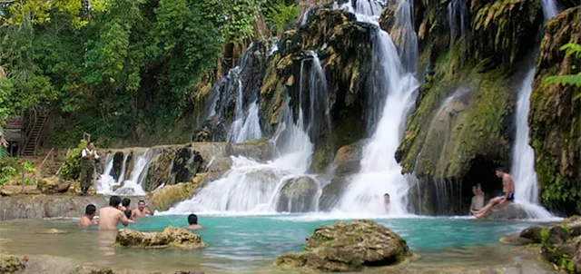 Nota sobre Ponte en contacto con la naturaleza en la reserva ecológica Villa Luz, Tapijulapa, Tabasco