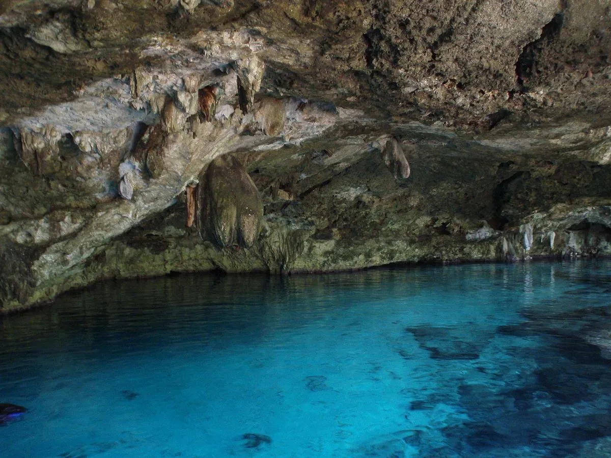 Nota sobre No te debes perder los mejores cenotes de México