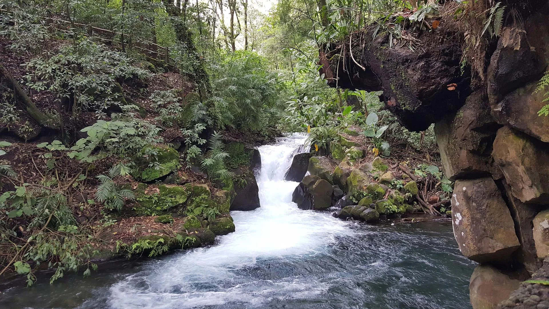 Nota sobre Parque Nacional Barranca del Cupatitzio, un lugar con naturaleza esplendorosa 