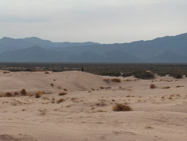 Nota sobre Lleva a tu familia de safari a los mejores parques en México