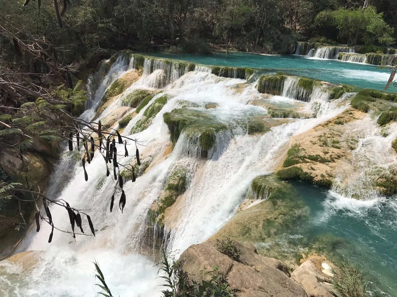 Nota sobre Quintana Roo, una opción con grandes actividades turísticas