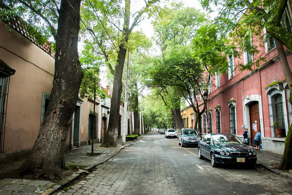 Nota sobre Diversión en familia en el Parque Frida Kahlo en Coyoacán