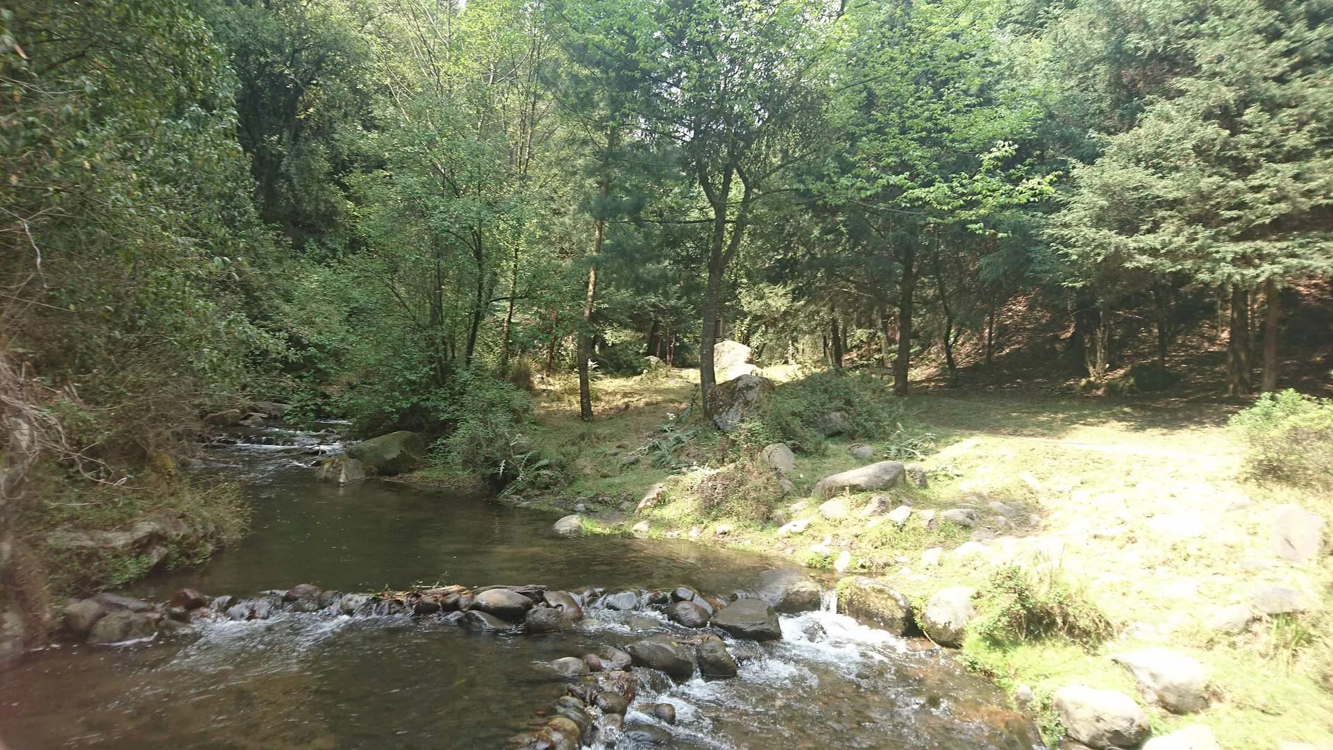 Nota sobre Pasa un fin de semana verde en el Parque de Los Dinamos