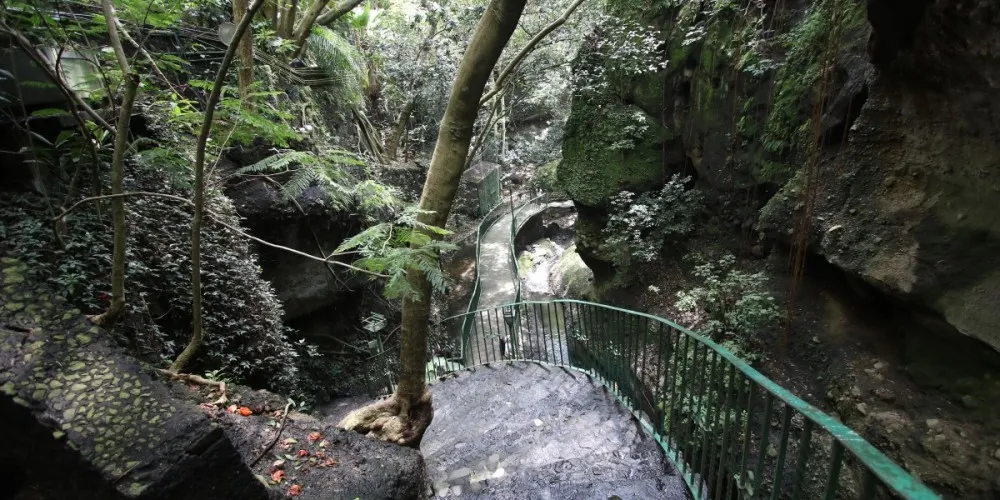 Nota sobre Barranca de Amanalco, maravilla natural de Cuernavaca