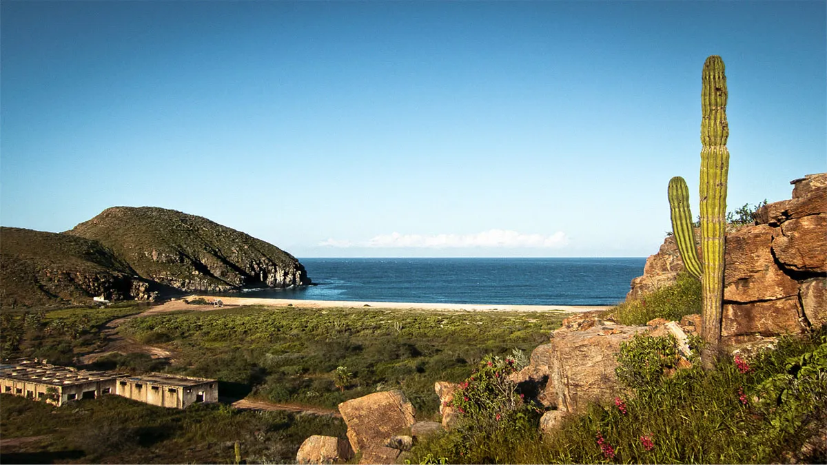 Nota sobre Descubre las maravillas naturales de Todos Santos en Baja California Sur