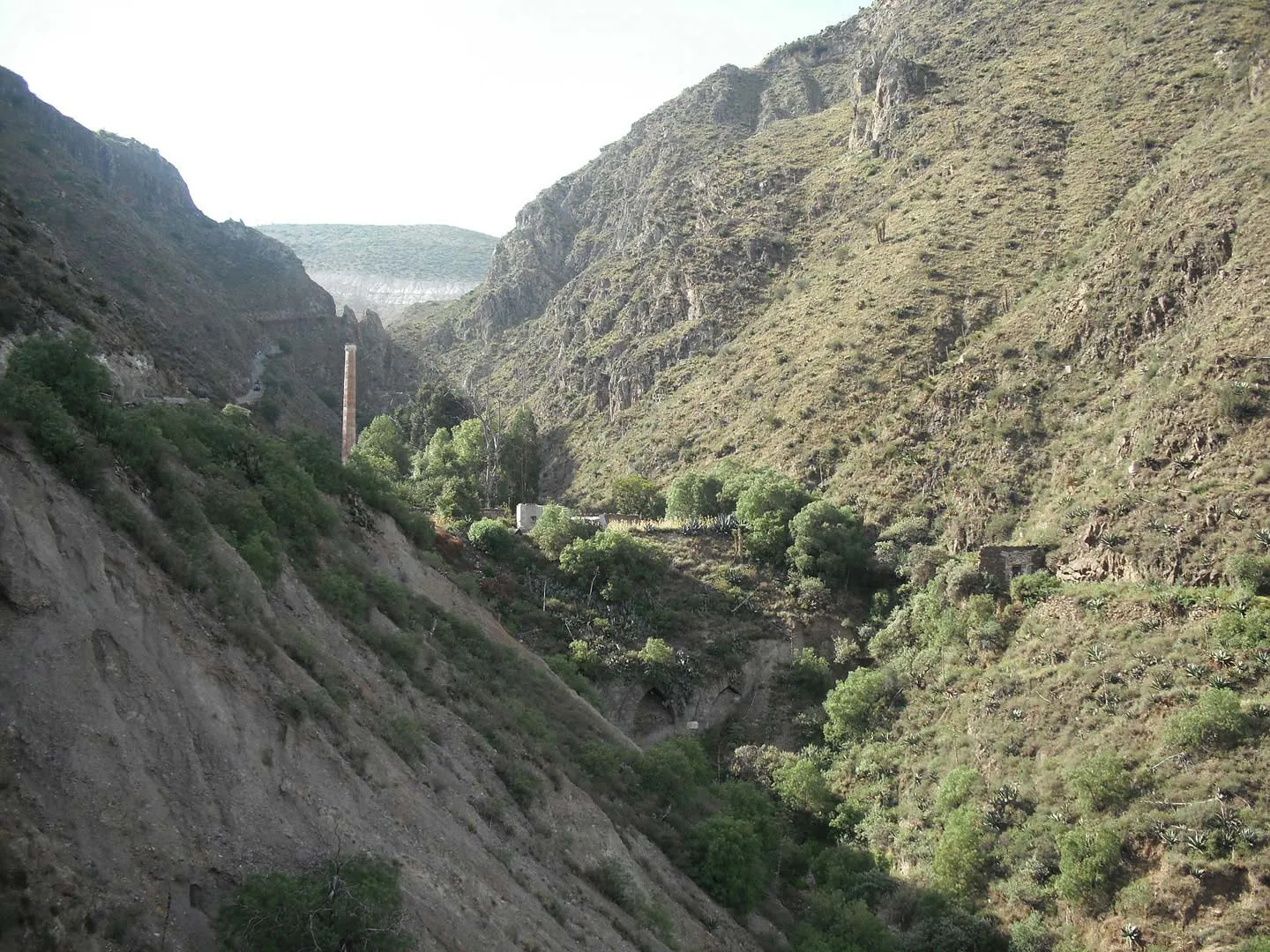 Nota sobre Descubre las maravillas naturales de Todos Santos en Baja California Sur