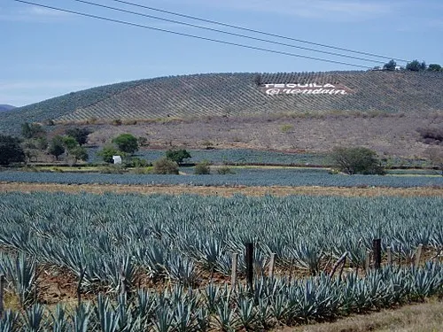 Nota sobre Te dejamos unos tips para visitar Santa Clara del Cobre