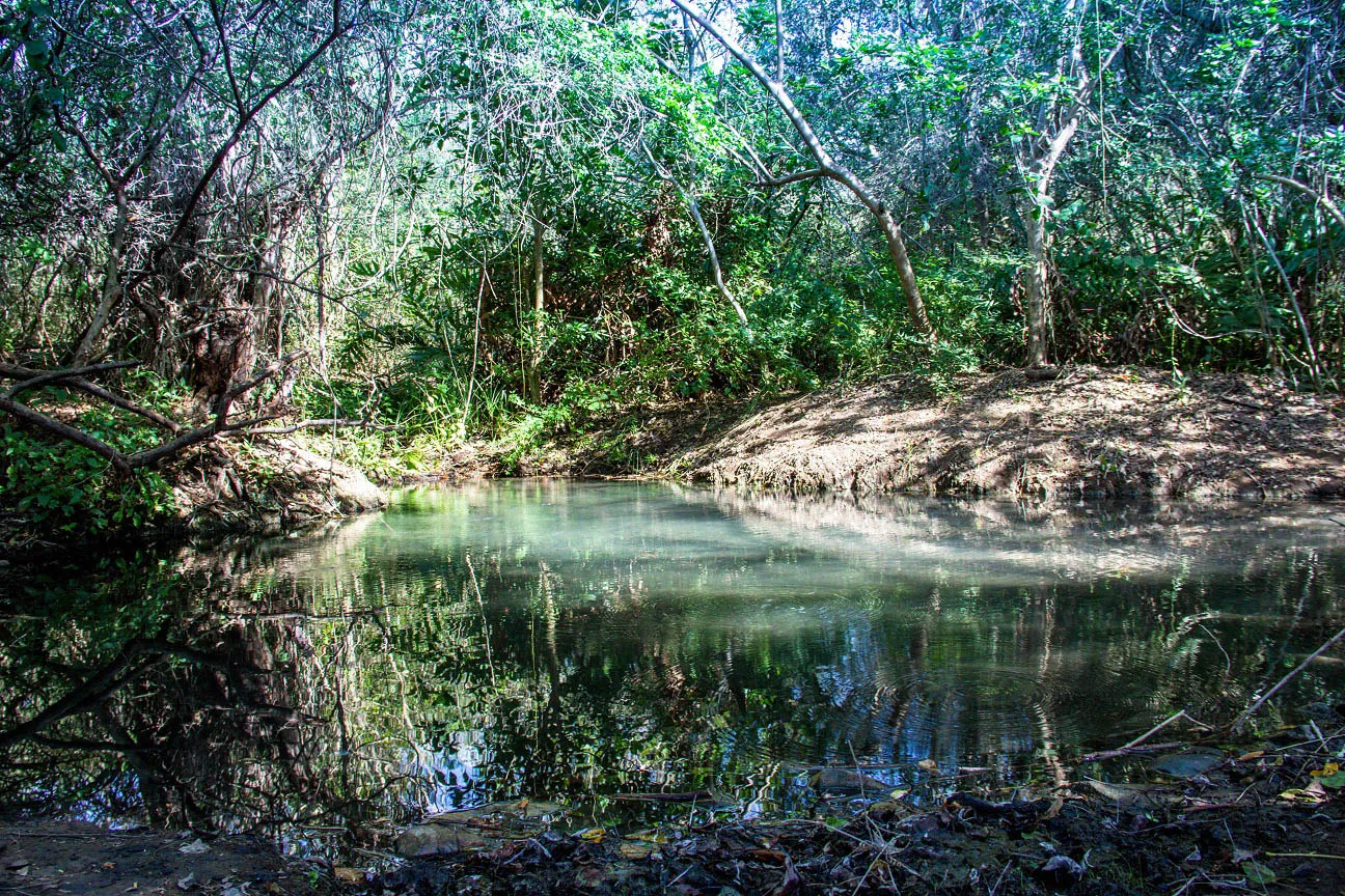 Nota sobre Visita en las vacaciones los Balnearios de la Huasteca Potosina