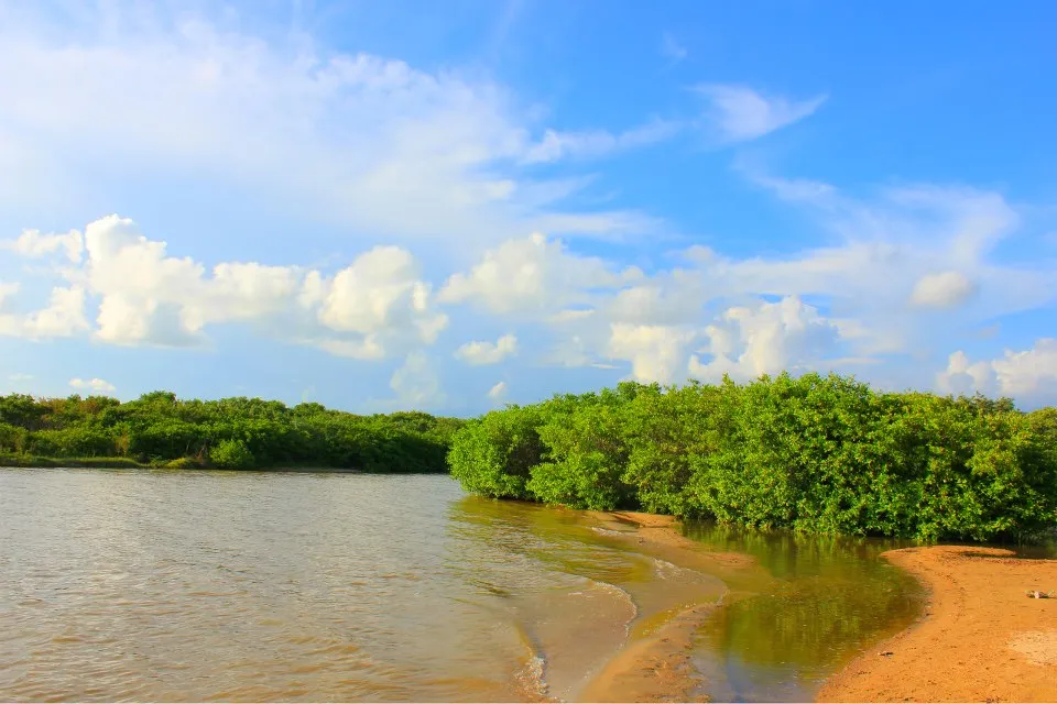 Nota sobre Playas y pueblos de Chiapas para visitar en las vacaciones