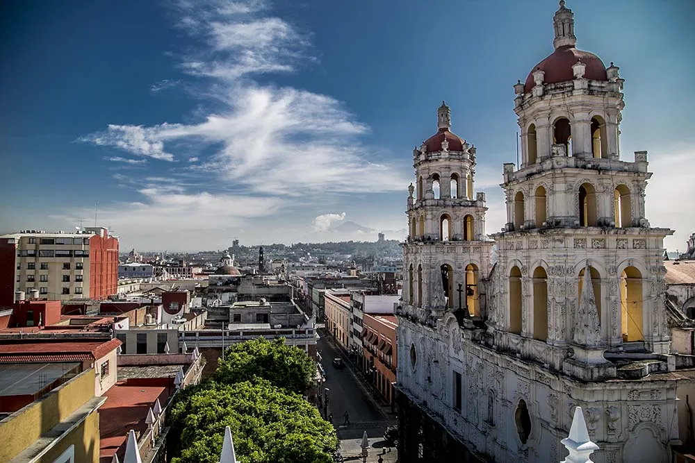 Nota sobre Disfrutando los Viveros de Coyoacán