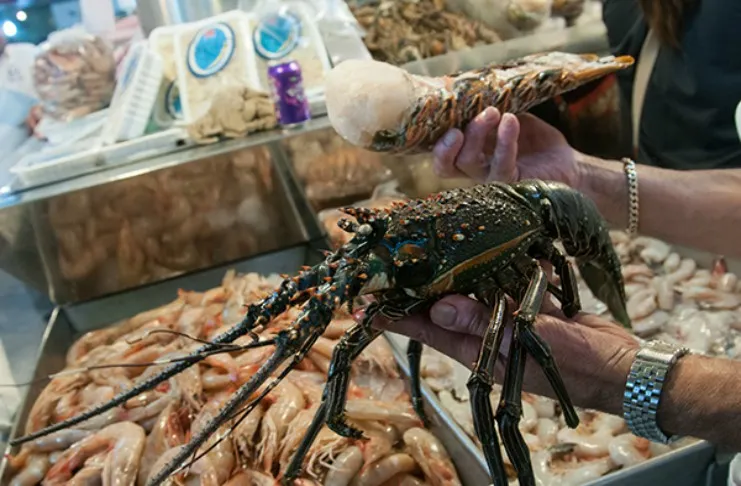 Nota sobre Mercado de San Juan, un recinto de la gastronomía exótica