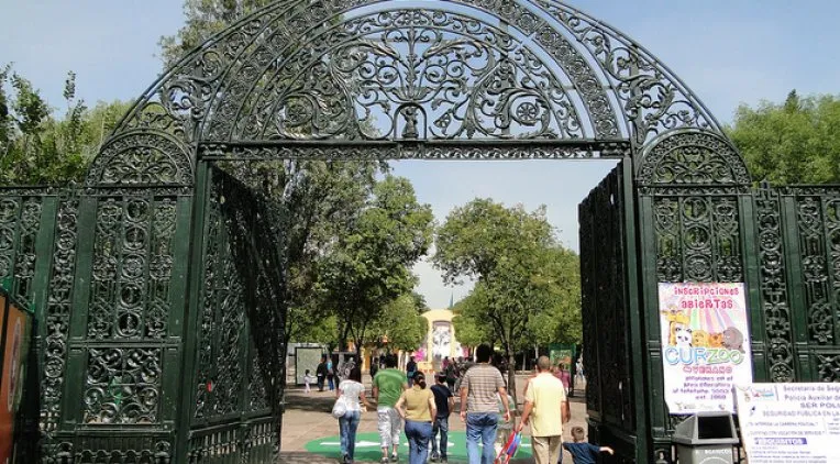 Nota sobre Zoológico de Chapultepec, uno de los lugares favoritos en la CDMX