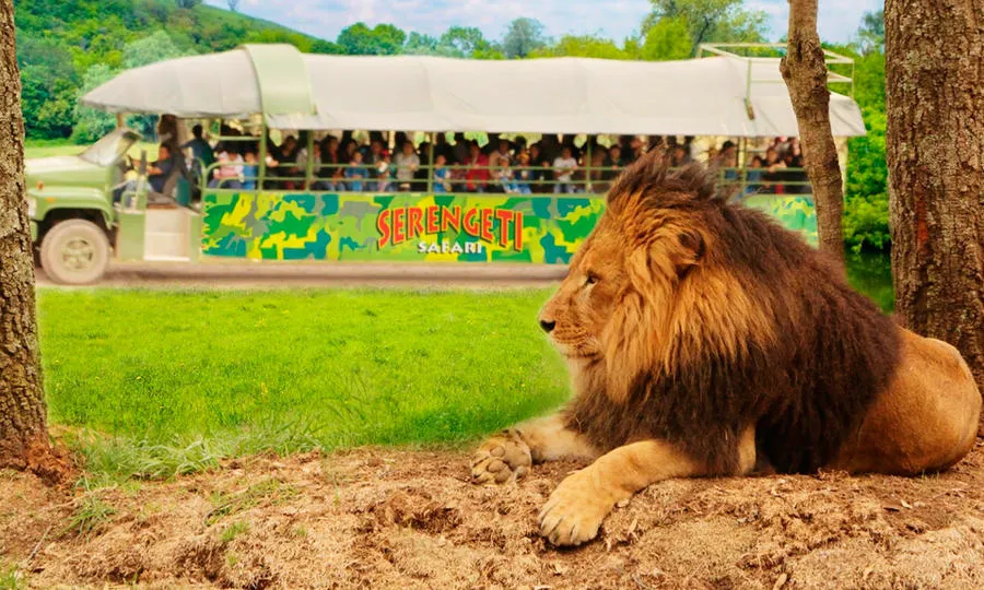 Nota sobre Diversión el fin de semana en el Bioparque Estrella