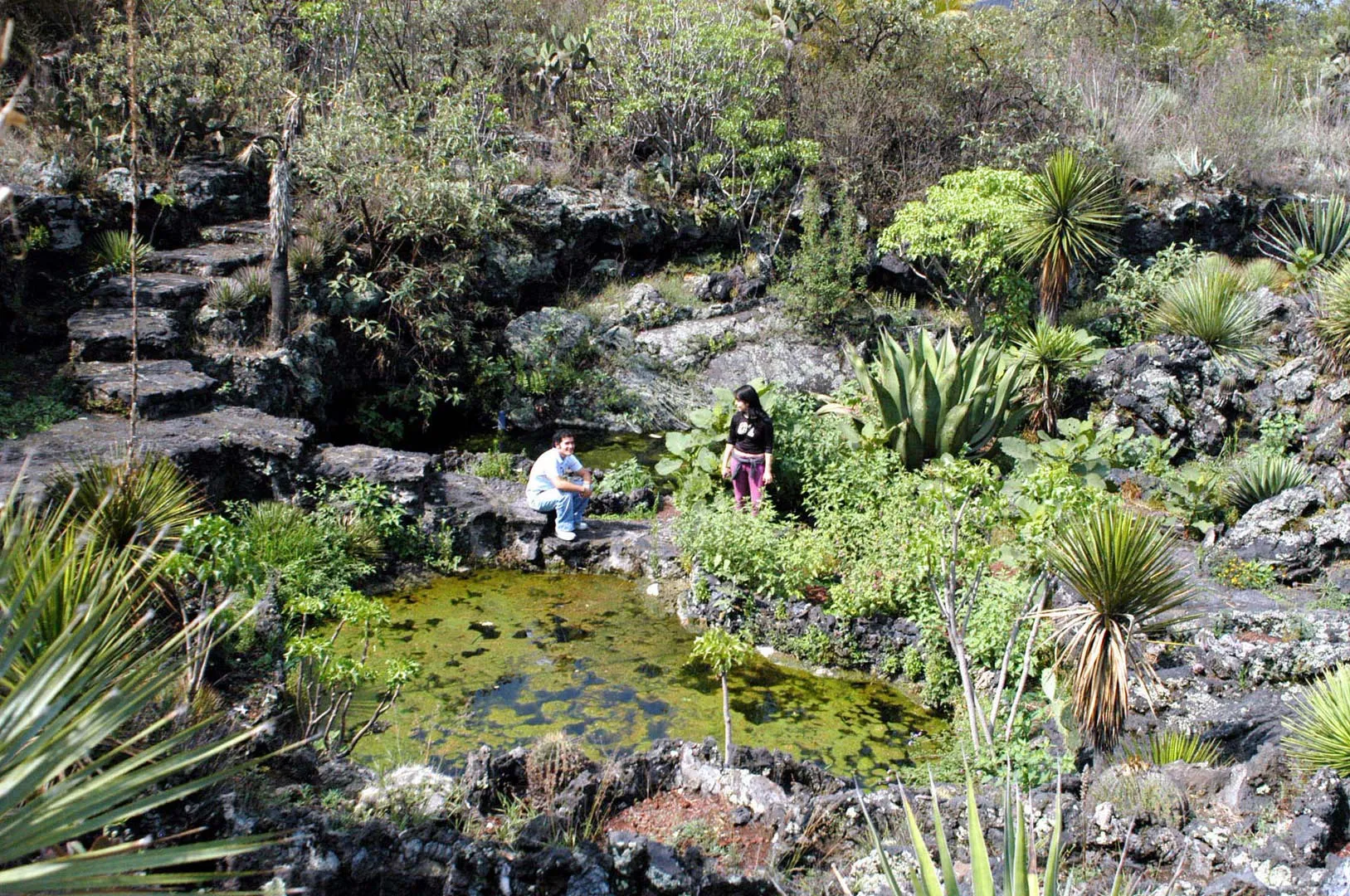 Nota sobre La Ruta Huichol, una experiencia que no te debes perder