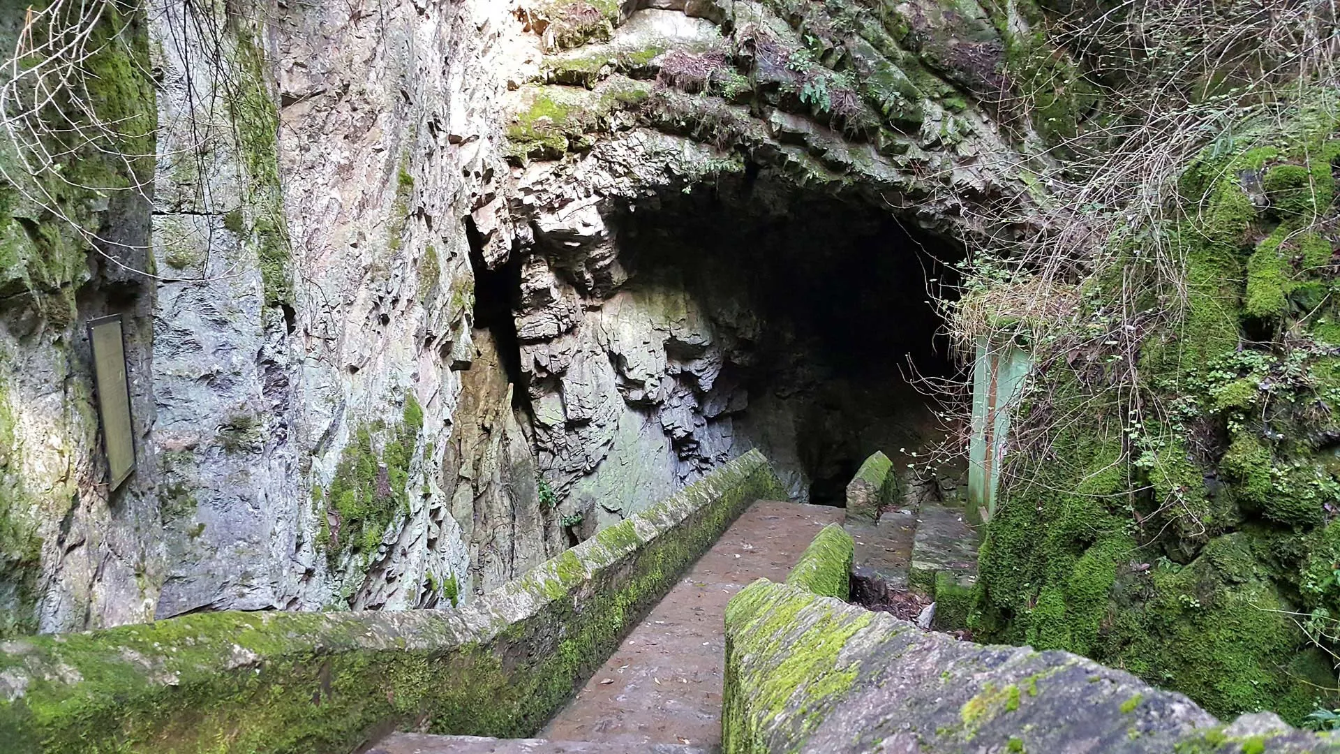 Nota sobre La Ruta Huichol, una experiencia que no te debes perder