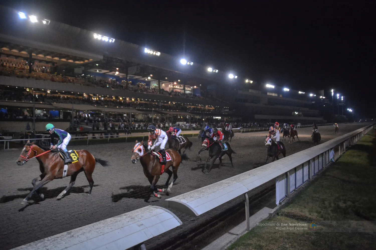 Nota sobre Vive la adrenalina en el Hipódromo de las Américas